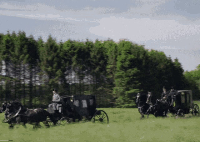 a horse drawn carriage is driving through a field