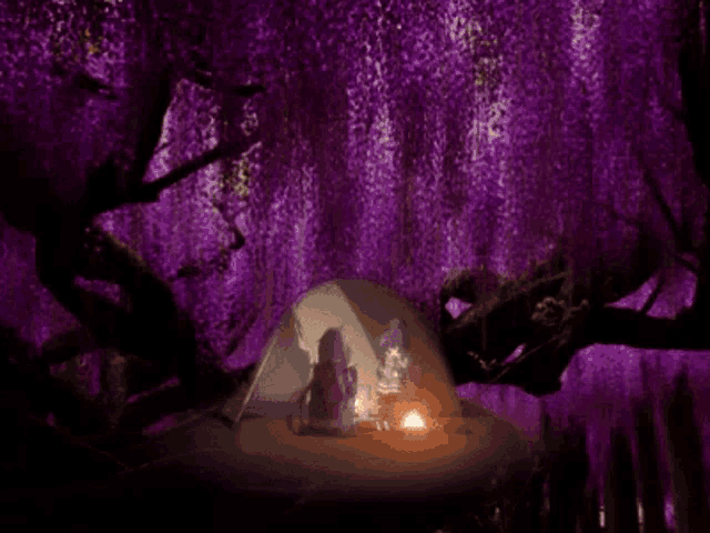 a group of people are sitting in a tent under a tree with purple flowers