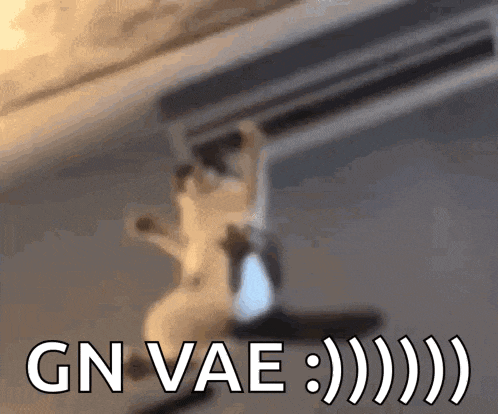 a cat is hanging from a ceiling with the words gn vae written above it
