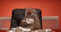 Baboon Money GIF - Baboon Money GIFs