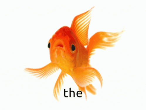 The Goldfish GIF