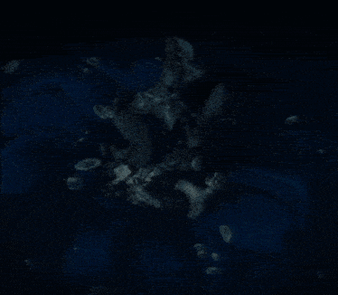 a painting of a person in the water with jellyfish around them