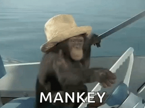 Mankey Funny GIF - Mankey Funny Boat GIFs