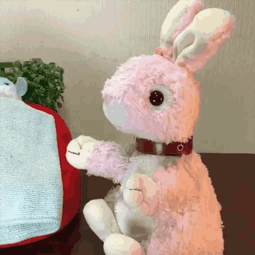 No Bunny GIF - No Bunny Bedtime GIFs