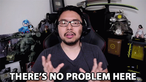 Theres No Problem Here No Trouble Here GIF - Theres No Problem Here No Trouble Here No Difficulties Here GIFs