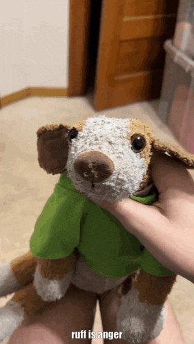 a stuffed dog wearing a green shirt is being held in someone 's hand