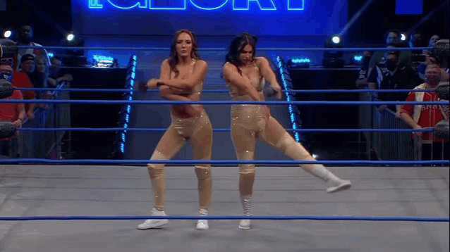 a couple of women are standing in a wrestling ring .