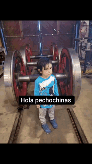 Hola GIF