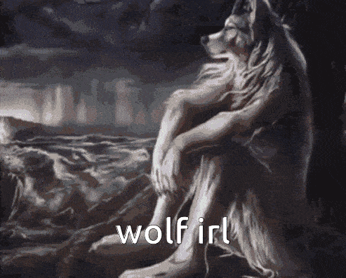 a pixelated image of a man with the words wolf irl written below him