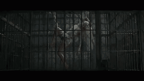 a woman is hanging upside down in a cage in a jail cell .