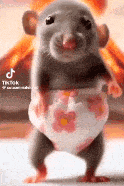 a rat in a diaper is standing on its hind legs .