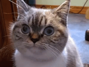 Give Em... The Eyes!! GIF - Eyes Stare Scary GIFs