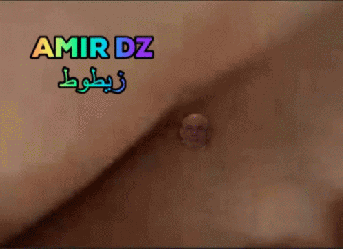 Amirdz Zitout GIF - Amirdz Zitout زيطوط GIFs