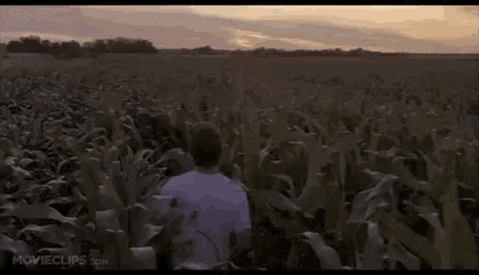 a man is standing in a corn field looking at the sky .