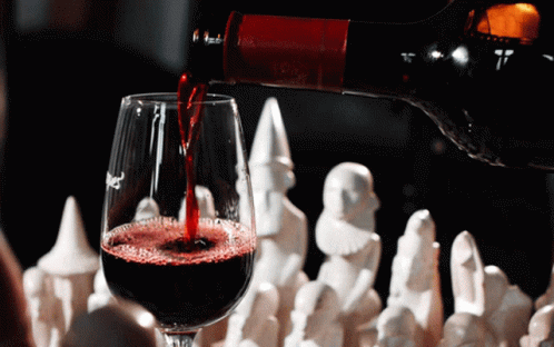 Red Wine Pouring Red Wine GIF - Red Wine Pouring Red Wine GIFs