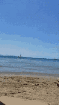 a man in green shorts is walking on the beach looking at his phone
