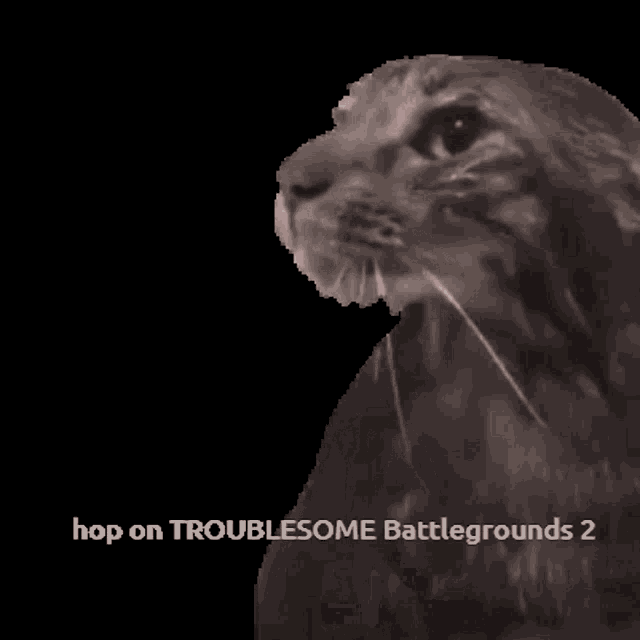 Troublesome Battlegrounds2 GIF - Troublesome Battlegrounds2 GIFs