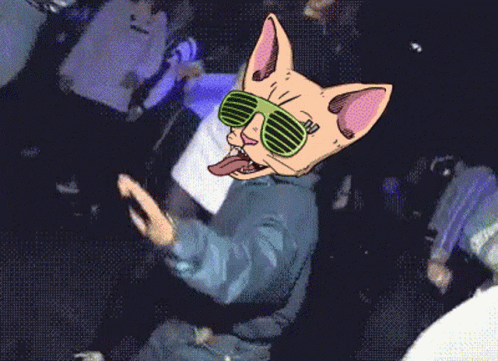 Cats On Crack GIF - Cats On Crack GIFs