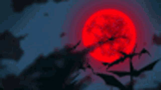 a flock of bats are flying in front of a red full moon .
