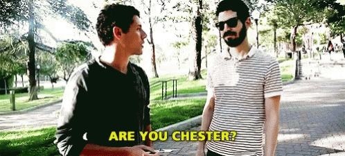 Chester Question GIF - Chester Question Ask GIFs