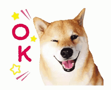a dog with a flower on its forehead winks at the camera with a red circle behind it that says ok