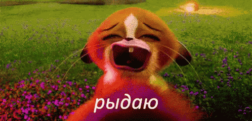 a cartoon cat is crying in a field of flowers with the word rydao written on the bottom