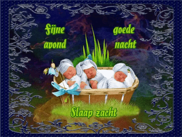 a picture of three babies sleeping in a basket with the caption slaap zacht