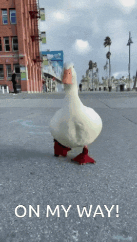 a duck wearing red shoes is walking on a sidewalk with the words " on my way " written below it