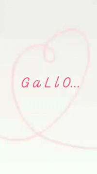 Name Gallo GIF - Name Gallo Heart GIFs