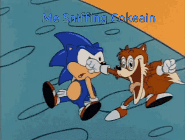 a cartoon of sonic the hedgehog and tails the fox with the caption me sniffing cokeain