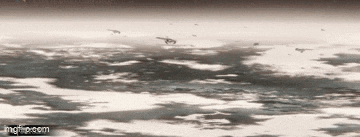a flock of birds flying over a body of water