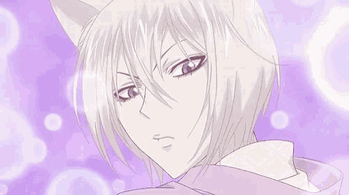 a close up of a person 's face with white hair and cat ears on a purple background .