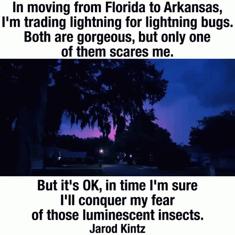 Lightning Luminescent GIF - Lightning Luminescent Insects GIFs