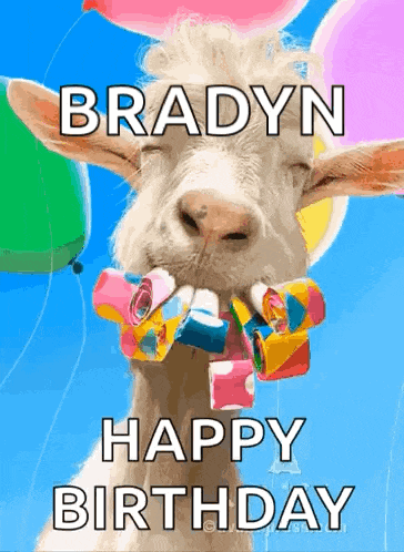 a goat with balloons in its mouth and the words bradyn happy birthday on the bottom