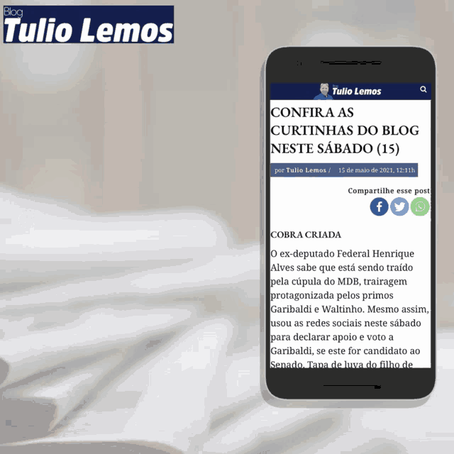 a phone displays a page from tulio lemos blog