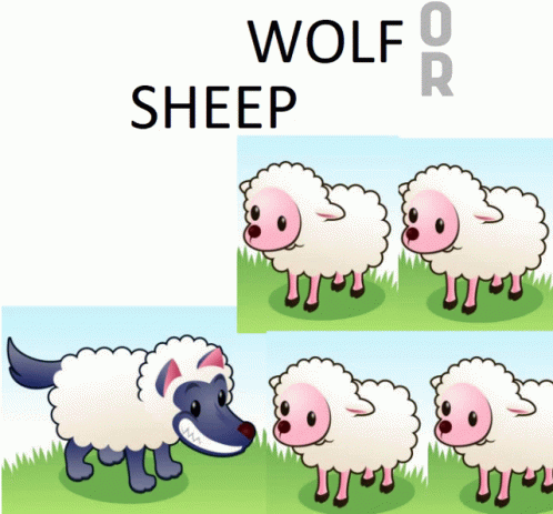 Wolf Sheep GIF