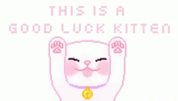 Cats This Is A Good Luck Kitten GIF - Cats This Is A Good Luck Kitten GIFs