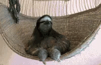 Sloth Gangster GIF - Sloth Gangster Bitch GIFs