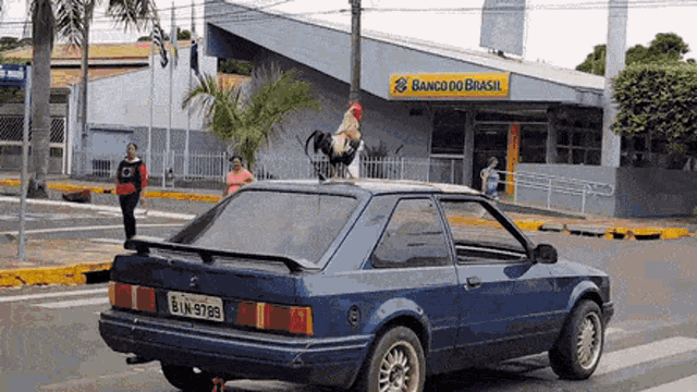 Rooster Gallo GIF - Rooster Gallo Trip GIFs