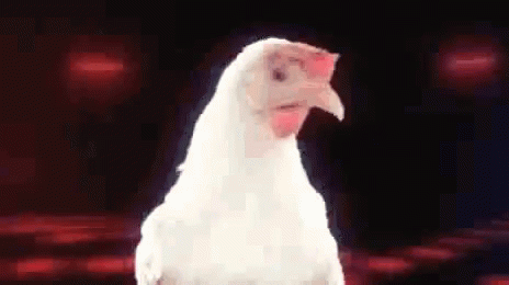 Youre A Chicken Chicken Dance GIF - Youre A Chicken Chicken Dance GIFs