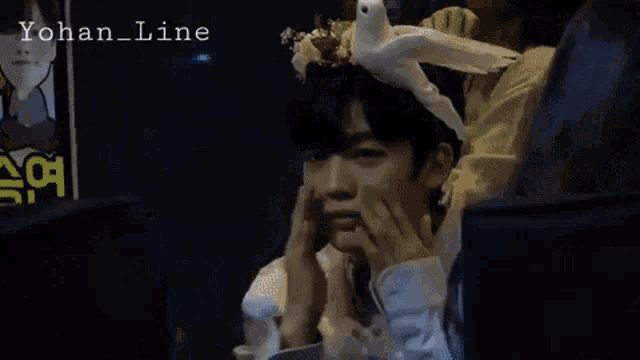 a boy wearing a headband with a bird on it