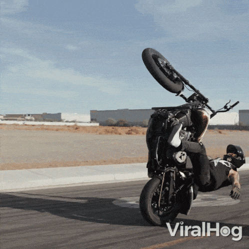 Performing A Harley Stunt Viralhog GIF - Performing A Harley Stunt Viralhog Wheelie With A Harley Davison GIFs
