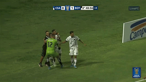 Well Played Csa Vc Botafogo GIF - Well Played Csa Vc Botafogo Happy GIFs