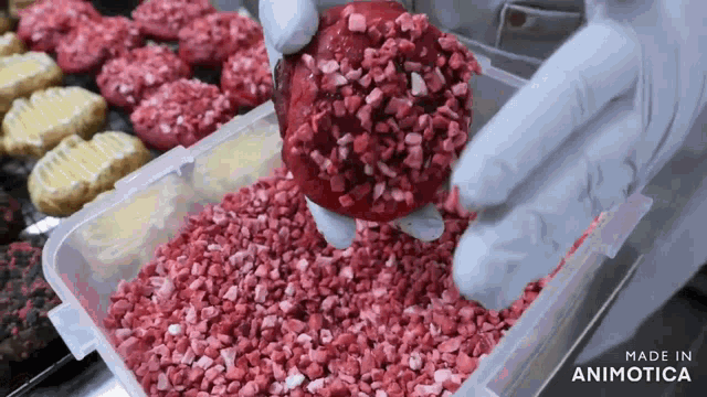 a person is putting a cookie in a plastic container that says made in animonica