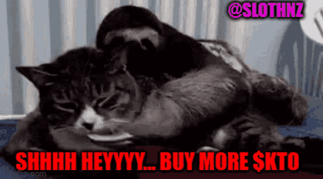 a sloth is laying on top of a cat with the words buy more $ kto written on the bottom