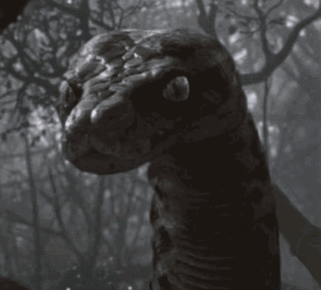 I Know What You Are Snake GIF - I Know What You Are Snake The Jungle Book GIFs