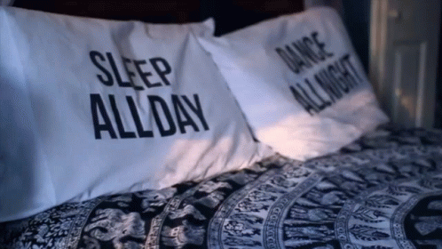 Sleep All Day Fall Into Bed GIF - Sleep All Day Fall Into Bed Bed GIFs