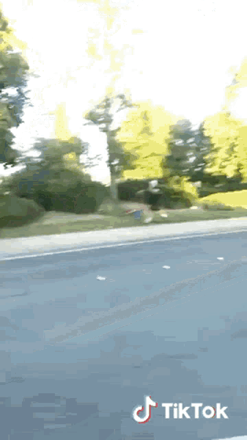 Walking Parrto GIF