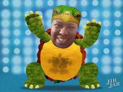 Fernando Tartaruga GIF - Fernando Tartaruga Turtle GIFs