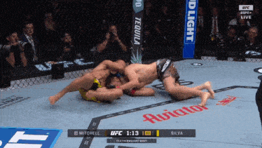 mitchell and silva are fighting in a ufc fight